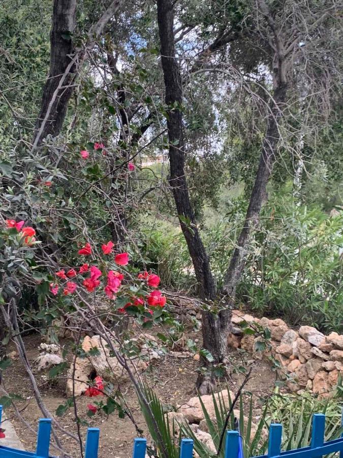 Villa Bellina Pefki Dış mekan fotoğraf