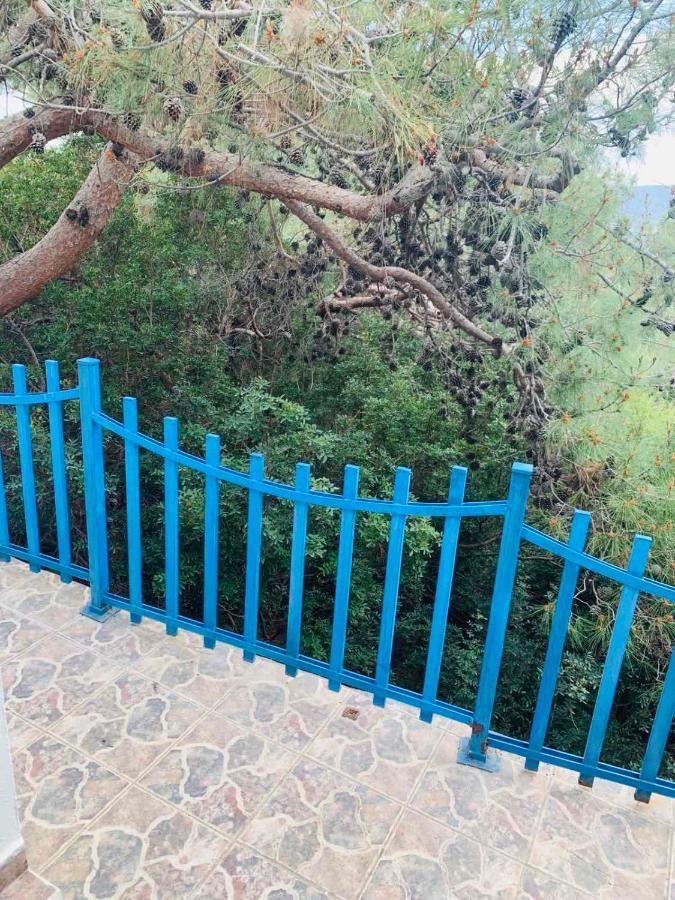Villa Bellina Pefki Dış mekan fotoğraf
