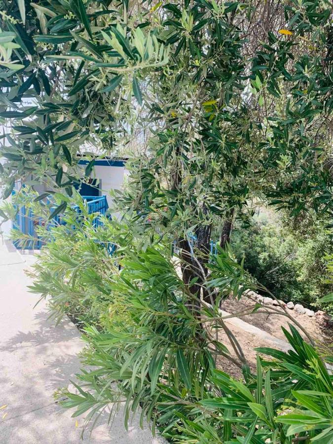Villa Bellina Pefki Dış mekan fotoğraf